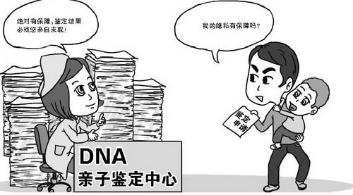 江苏医院做DNA鉴定结果需要多久,